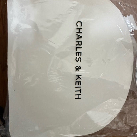 Charles & Keith Beige (Taupe) Bag - Picture 3 of 4